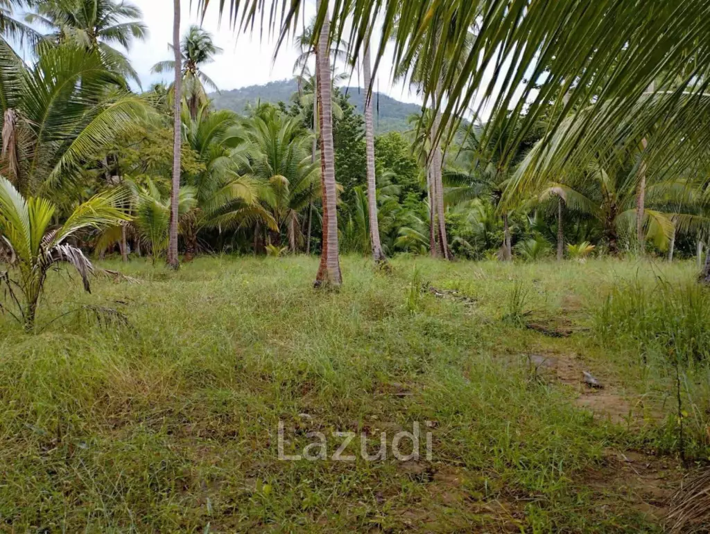 7-Rai Flat Land in Baan Nai Suan, Koh Phangan