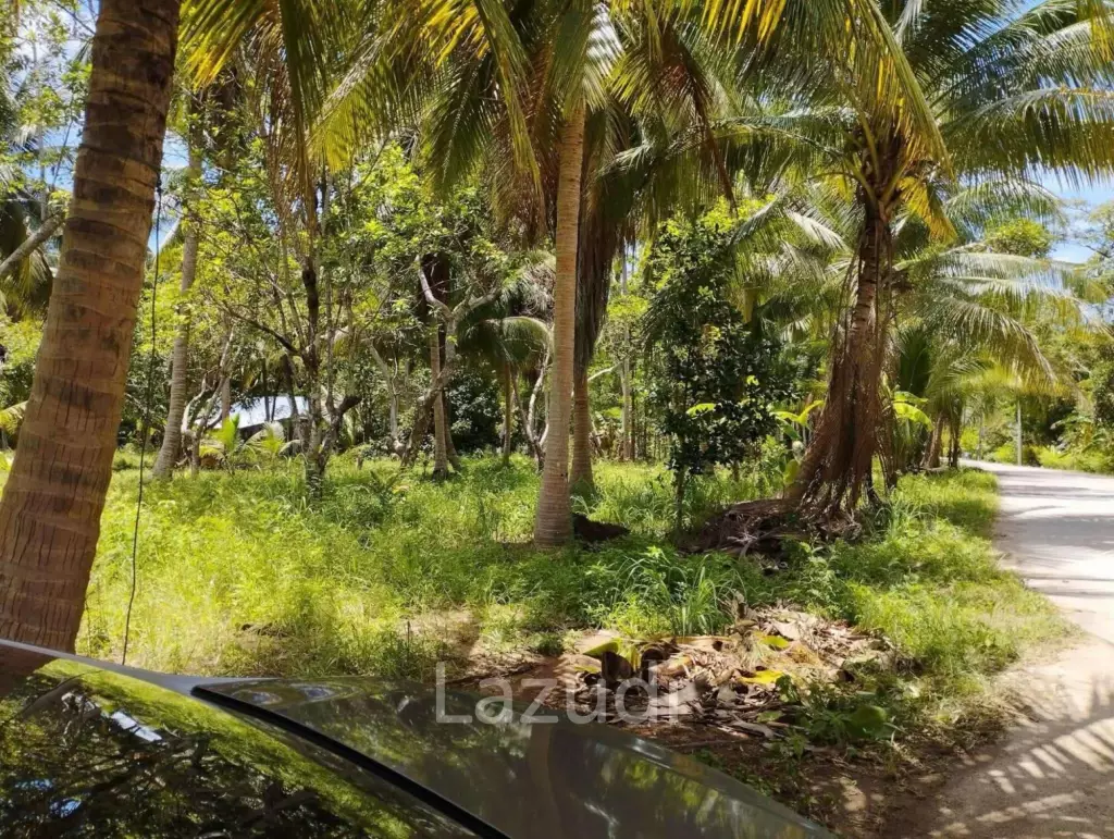 7-Rai Flat Land in Baan Nai Suan, Koh Phangan