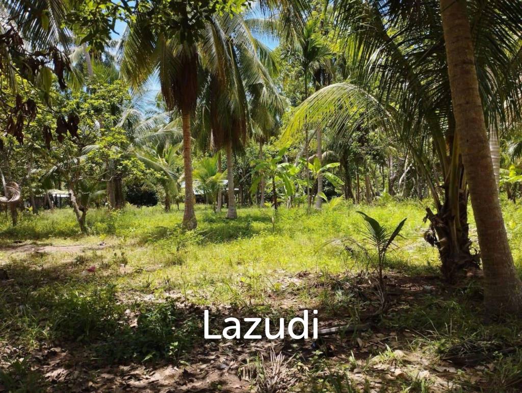 7-Rai Flat Land in Baan Nai Suan, Koh Phangan
