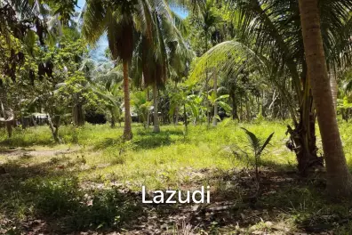 7-Rai Flat Land in Baan Nai Suan, Koh Phangan
