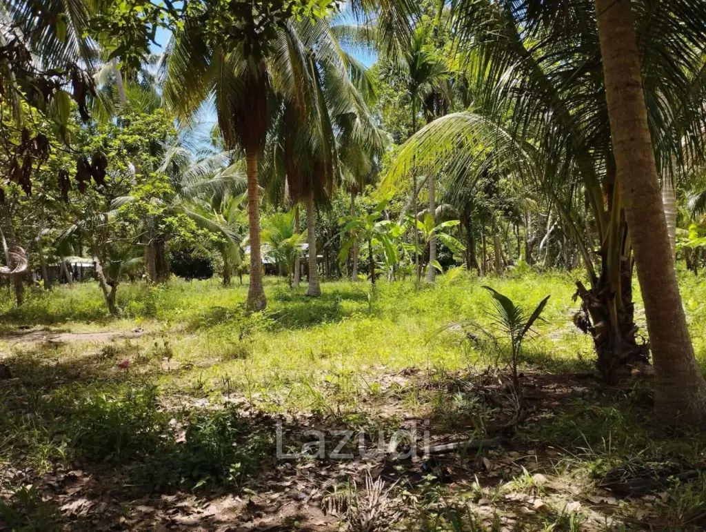 7-Rai Flat Land in Baan Nai Suan, Koh Phangan