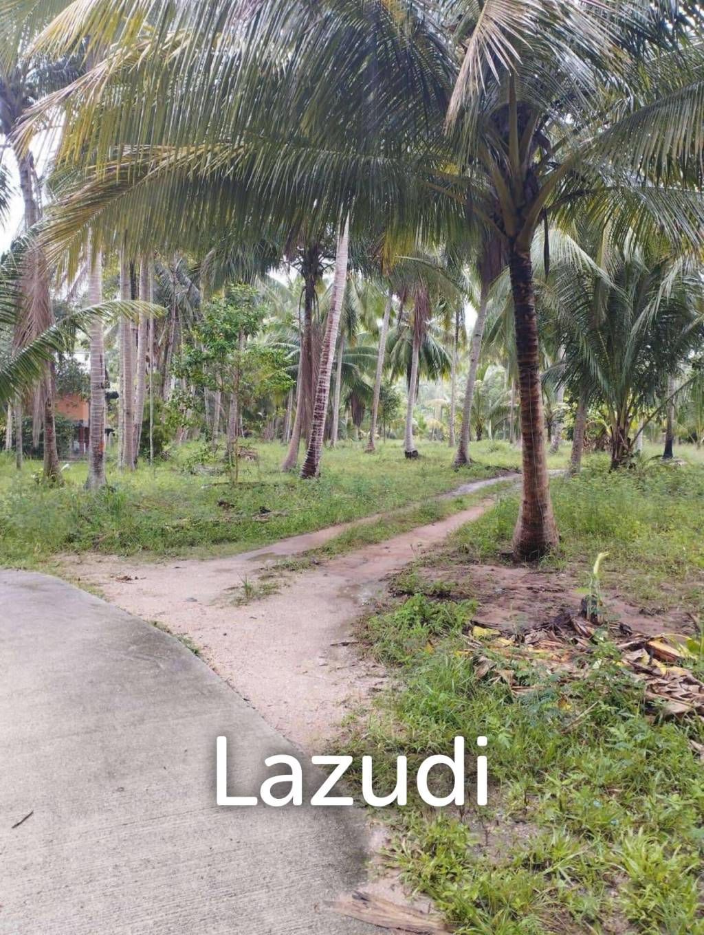 7-Rai Flat Land in Baan Nai Suan, Koh Phangan