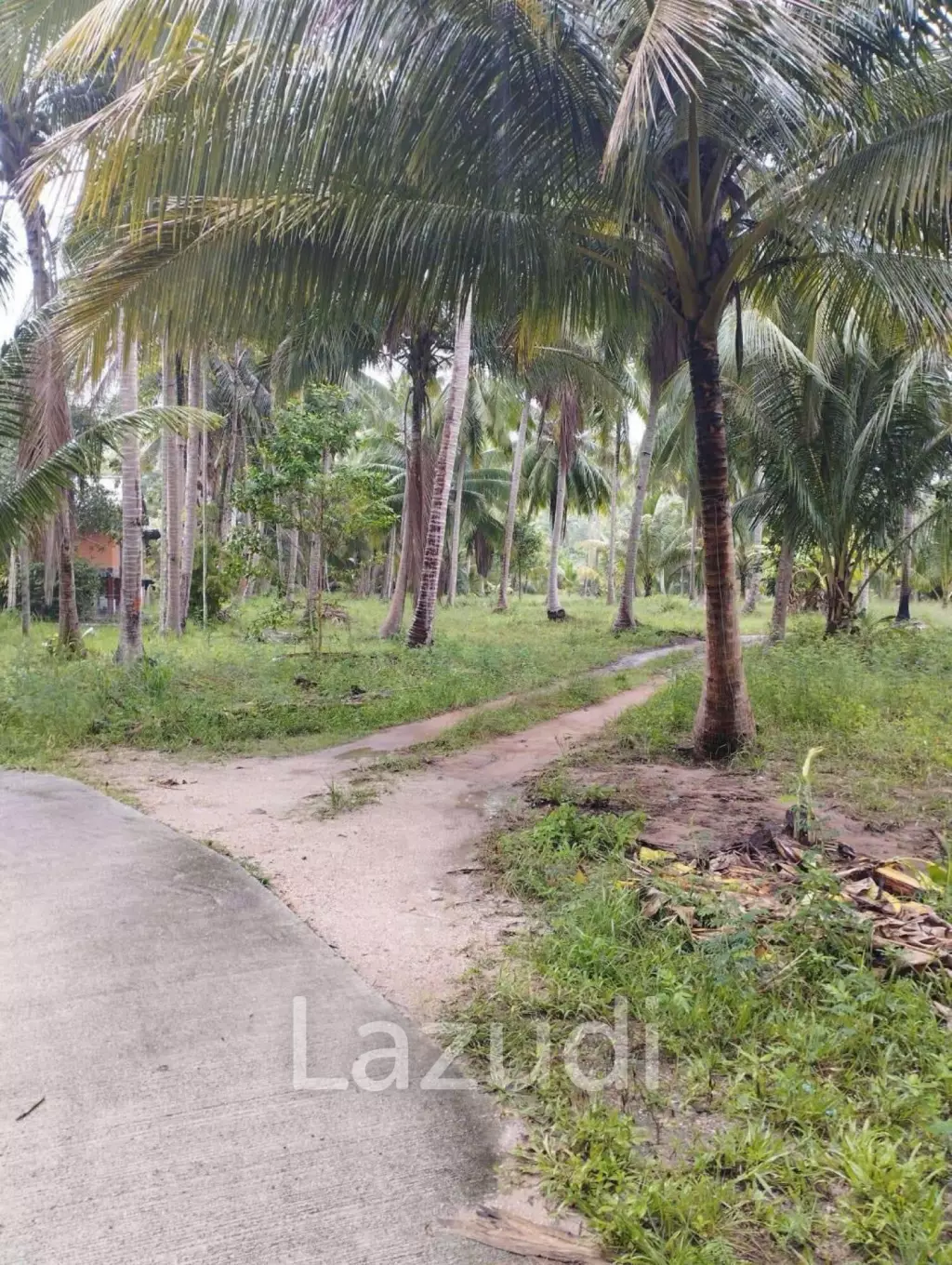 7-Rai Flat Land in Baan Nai Suan, Koh Phangan