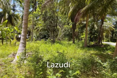 7-Rai Flat Land in Baan Nai Suan, Koh Phangan