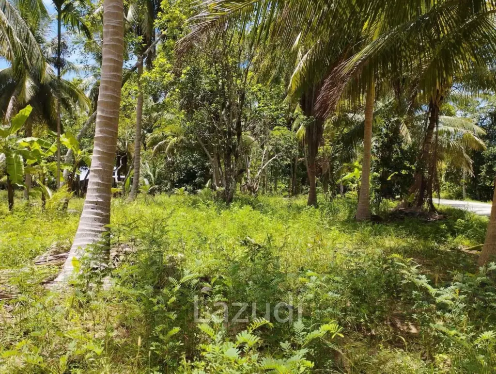 7-Rai Flat Land in Baan Nai Suan, Koh Phangan