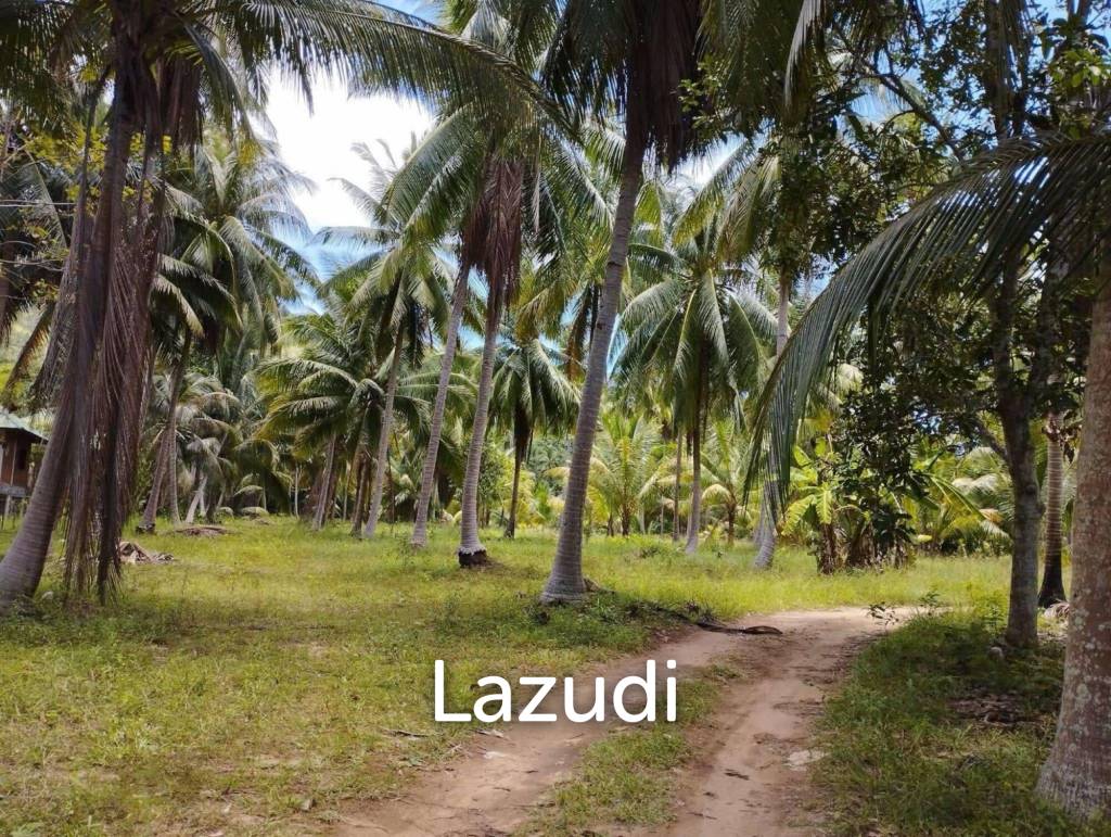 7-Rai Flat Land in Baan Nai Suan, Koh Phangan