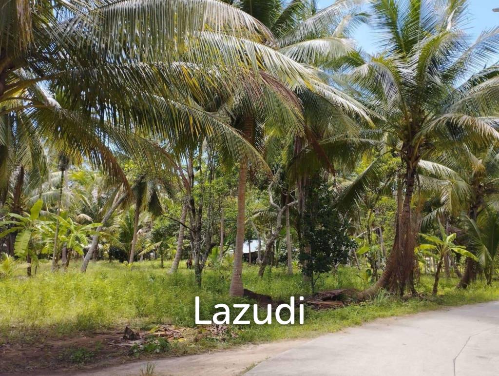 7-Rai Flat Land in Baan Nai Suan, Koh Phangan