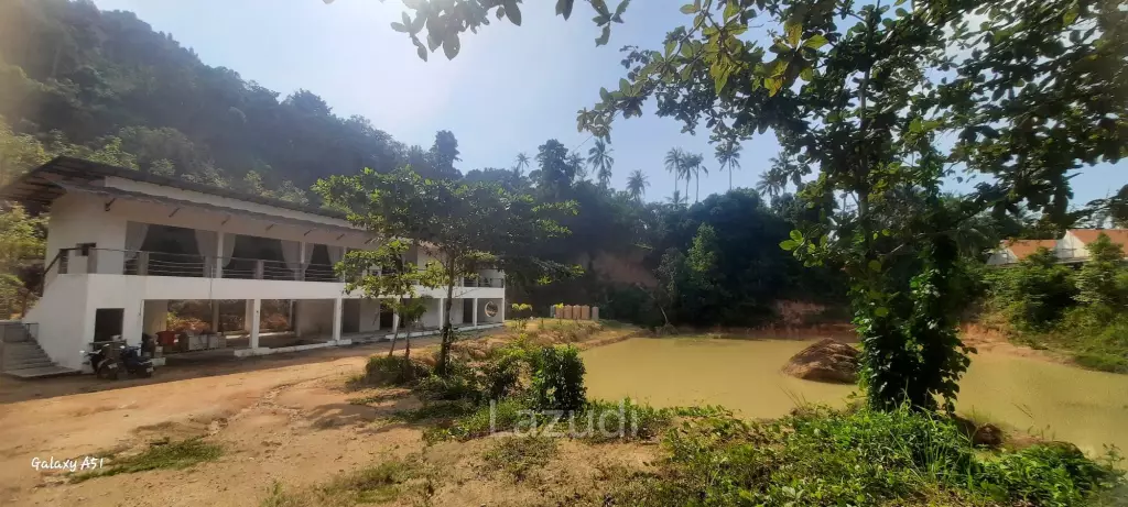 Luxury Villa on Ko Pha-ngan with Natural Pool