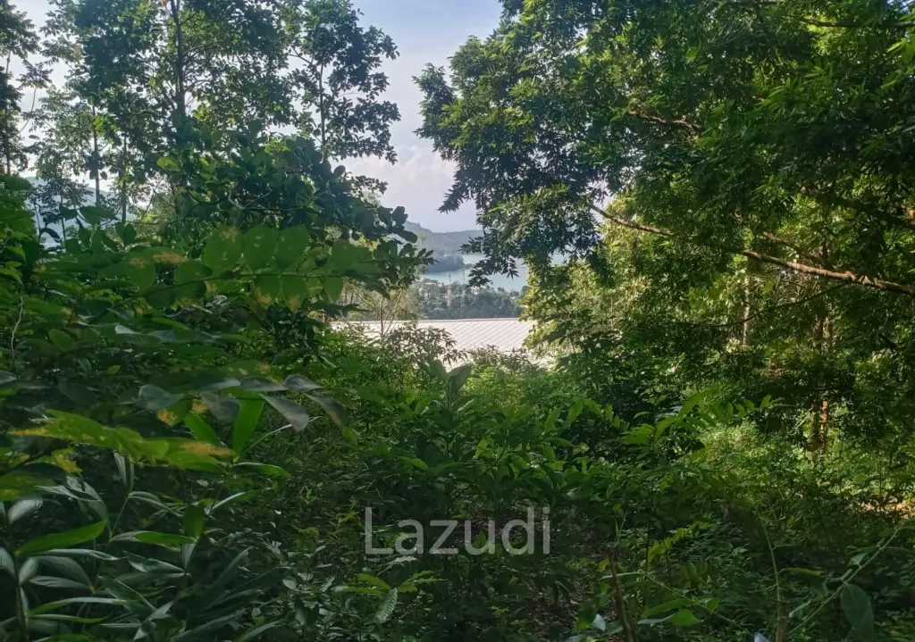 Secluded Highland Forest Land for Sale in Ko Pha-ngan