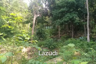 Secluded Highland Forest Land for Sale in Ko Pha-ngan