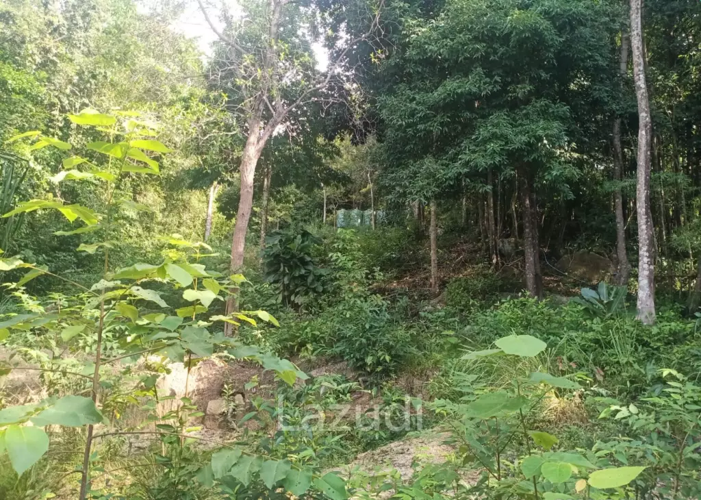 Secluded Highland Forest Land for Sale in Ko Pha-ngan