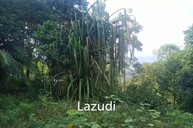 Secluded Highland Forest Land for Sale in Ko Pha-ngan