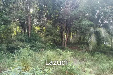 Secluded Highland Forest Land for Sale in Ko Pha-ngan