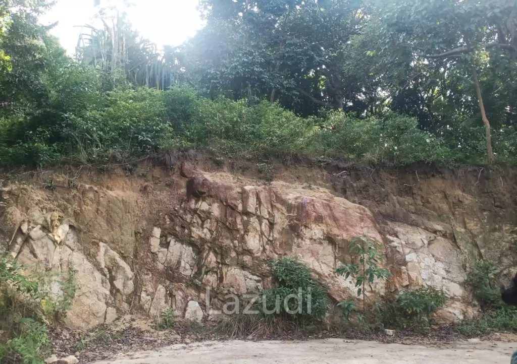 Secluded Highland Forest Land for Sale in Ko Pha-ngan