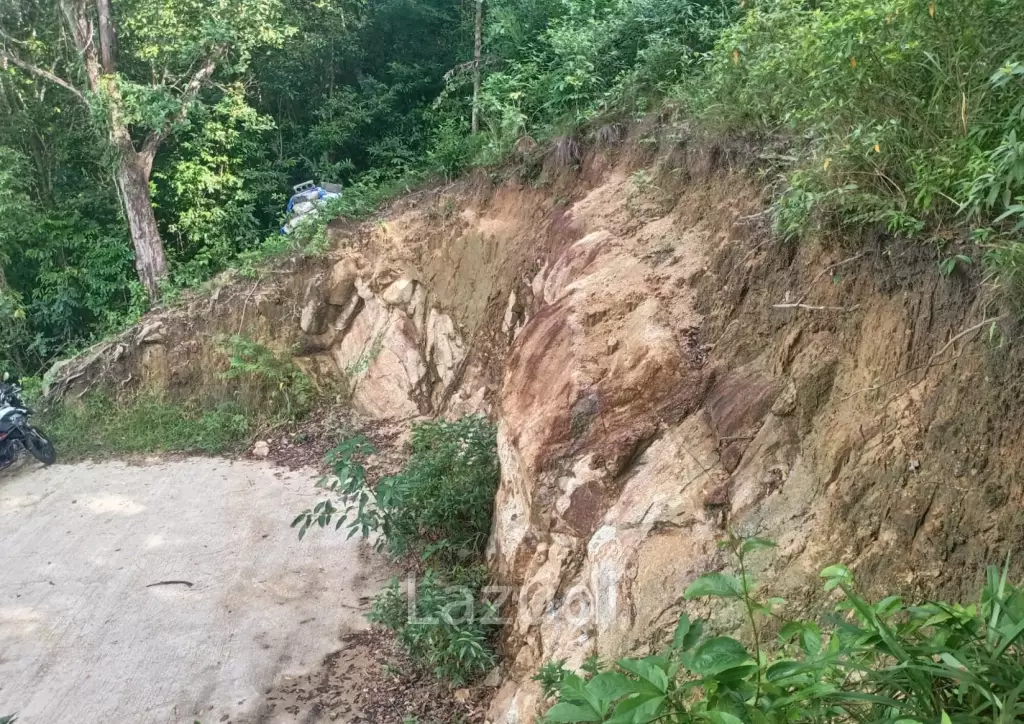 Secluded Highland Forest Land for Sale in Ko Pha-ngan