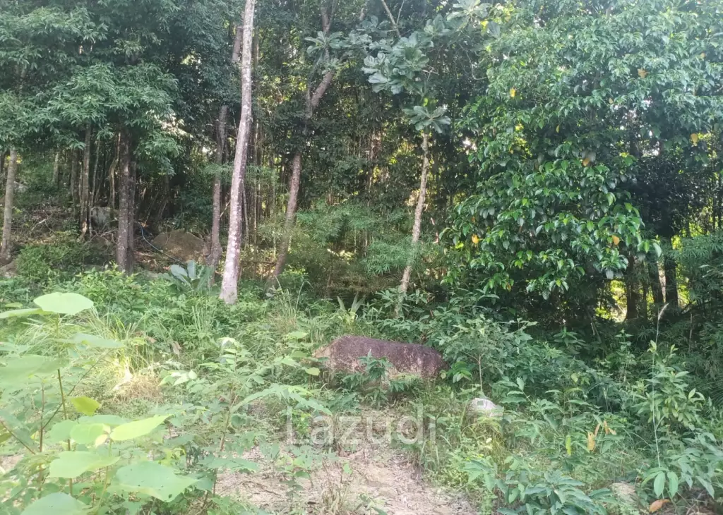 Secluded Highland Forest Land for Sale in Ko Pha-ngan
