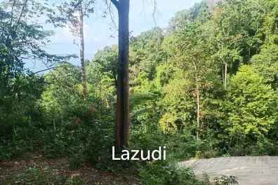 Secluded Highland Forest Land for Sale in Ko Pha-ngan