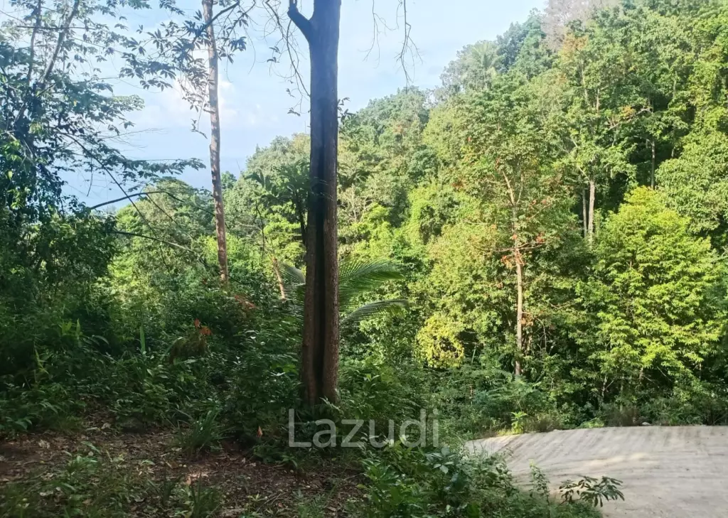 Secluded Highland Forest Land for Sale in Ko Pha-ngan
