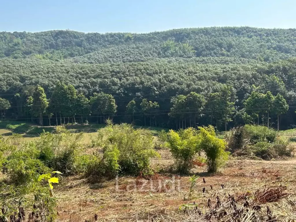 92 Rai Land For Sale With Mountain View in Mae Suai