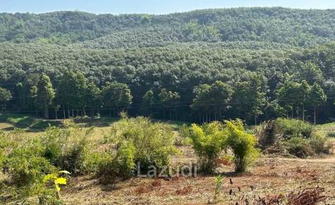 92 Rai Land For Sale With Mountain View in Mae Suai