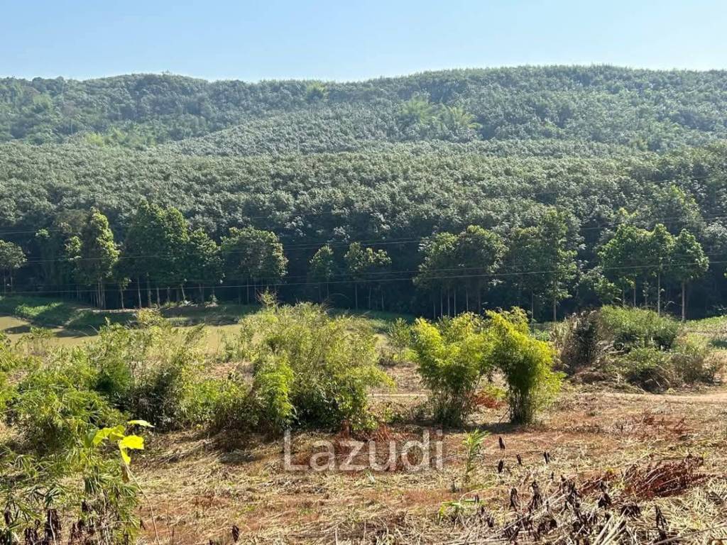 92 Rai Land For Sale With Mountain View in Mae Suai