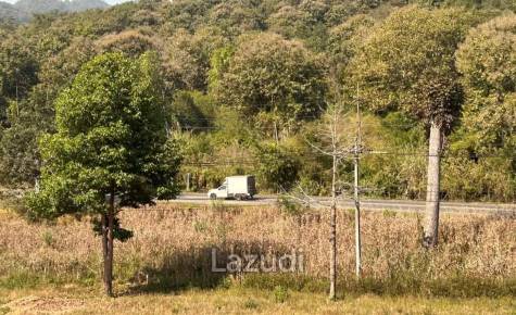 92 Rai Land For Sale With Mountain View in Mae Suai
