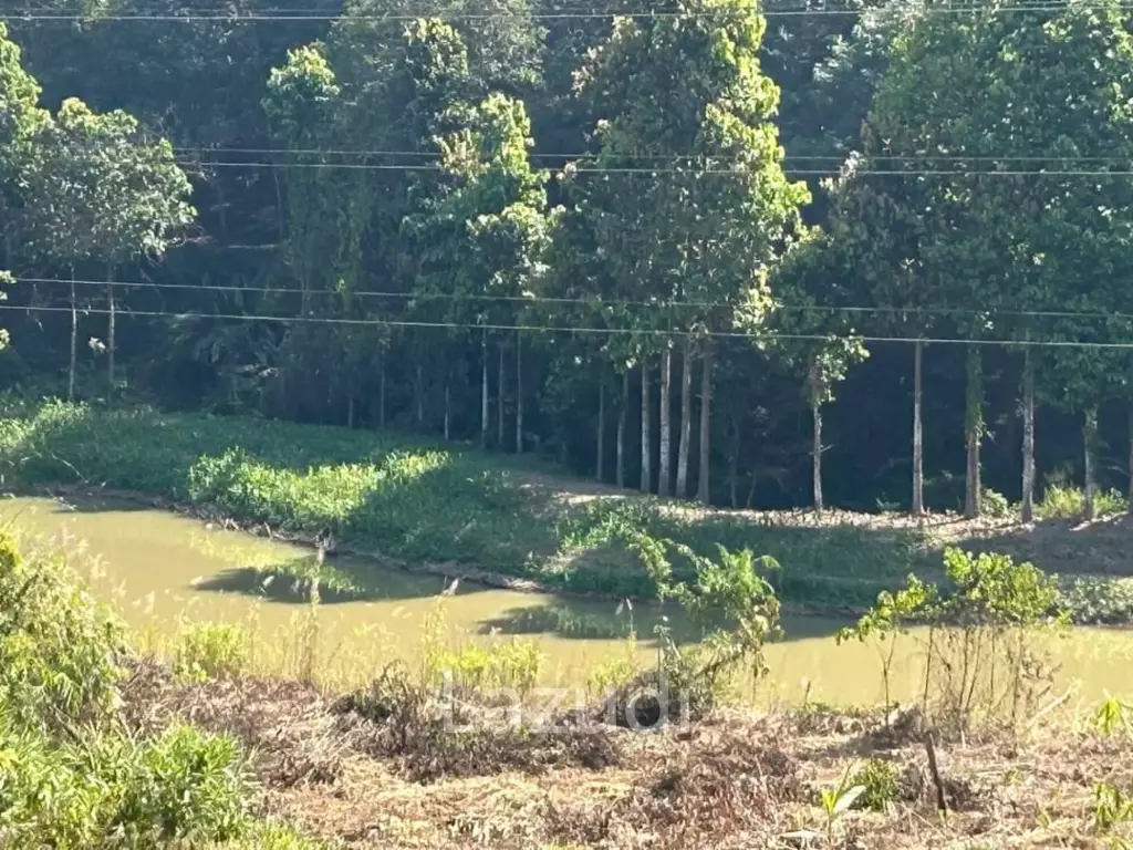 92 Rai Land For Sale With Mountain View in Mae Suai
