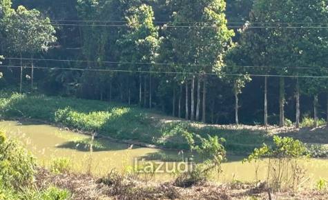 92 Rai Land For Sale With Mountain View in Mae Suai