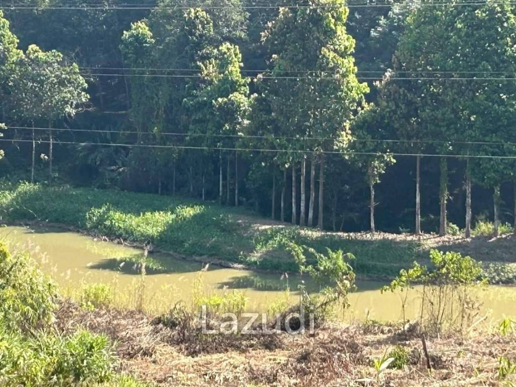 92 Rai Land For Sale With Mountain View in Mae Suai