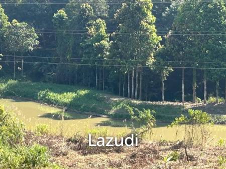 92 Rai Land For Sale With Mountain View in Mae Suai