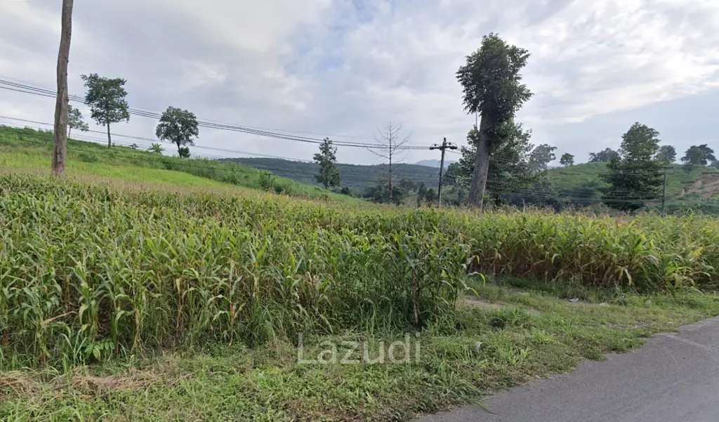 92 Rai Land For Sale With Mountain View in Mae Suai