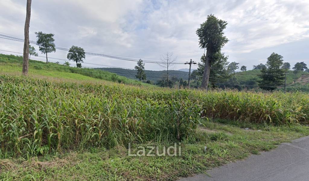 92 Rai Land For Sale With Mountain View in Mae Suai