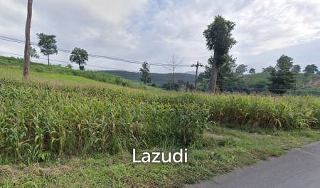 92 Rai Land For Sale With Mountain View in Mae Suai