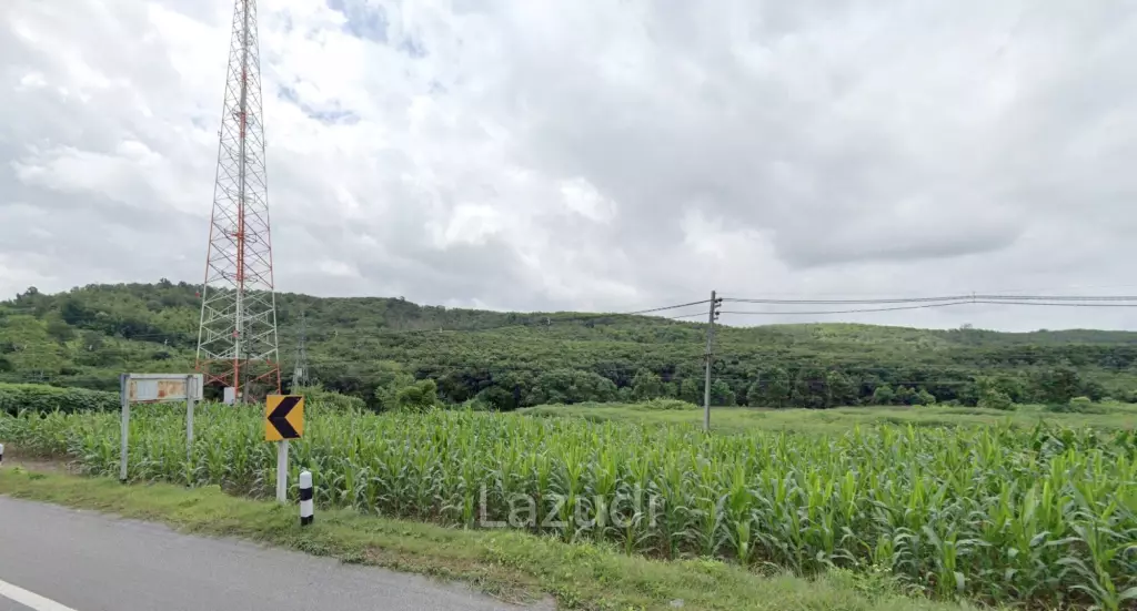 92 Rai Land For Sale With Mountain View in Mae Suai
