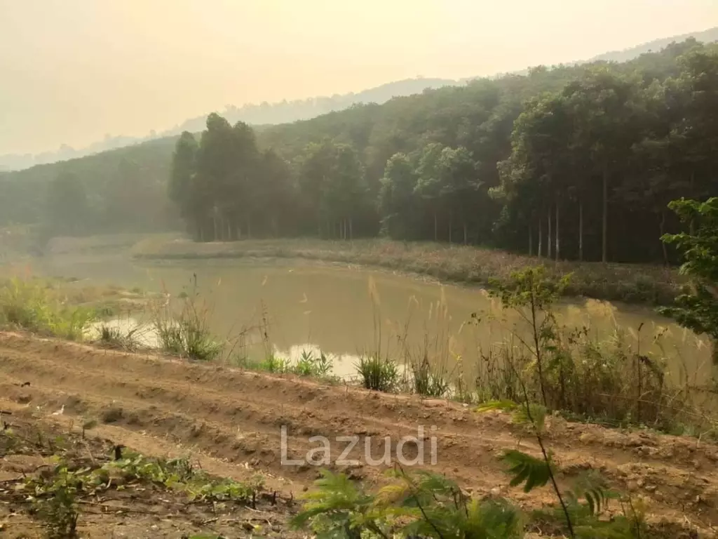 92 Rai Land For Sale With Mountain View in Mae Suai