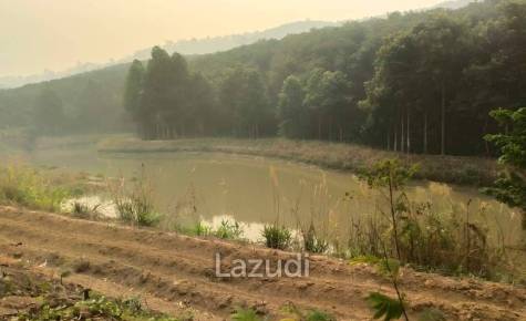 92 Rai Land For Sale With Mountain View in Mae Suai