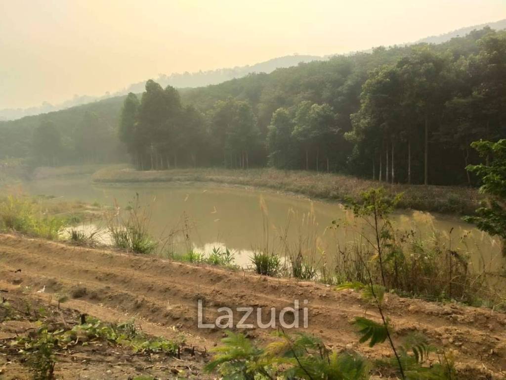 92 Rai Land For Sale With Mountain View in Mae Suai