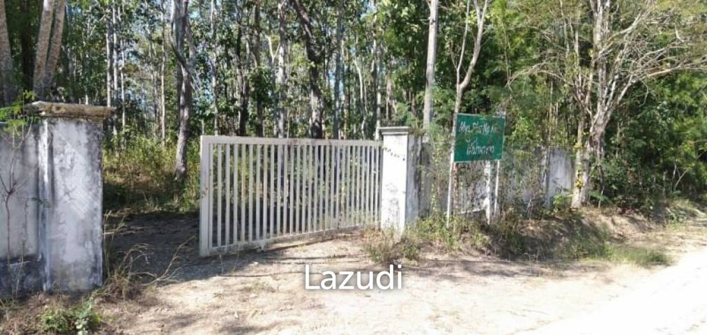 20 Rai Land with Teak Wood and Trees For Sale in Mae Taeng
