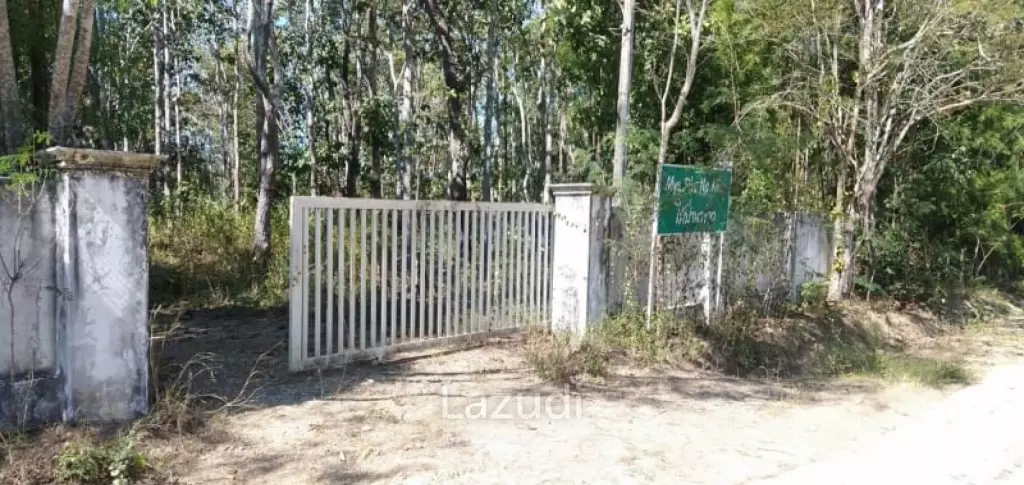 20 Rai Land with Teak Wood and Trees For Sale in Mae Taeng