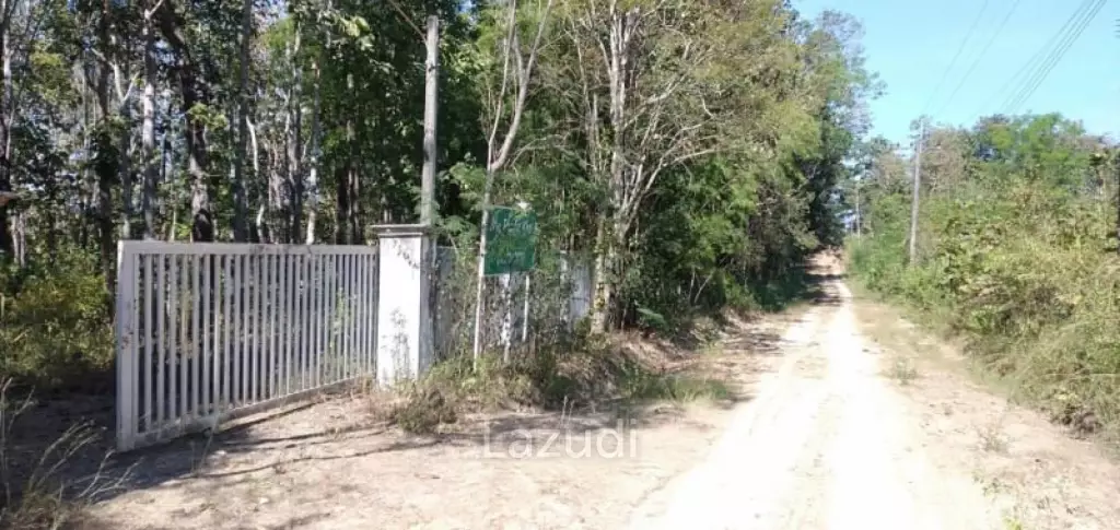 20 Rai Land with Teak Wood and Trees For Sale in Mae Taeng