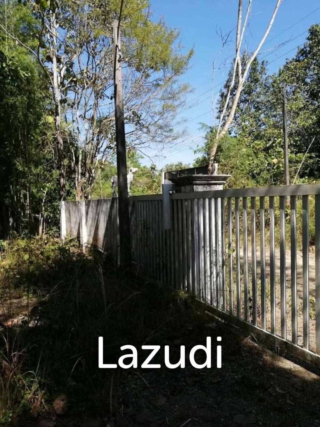20 Rai Land with Teak Wood and Trees For Sale in Mae Taeng