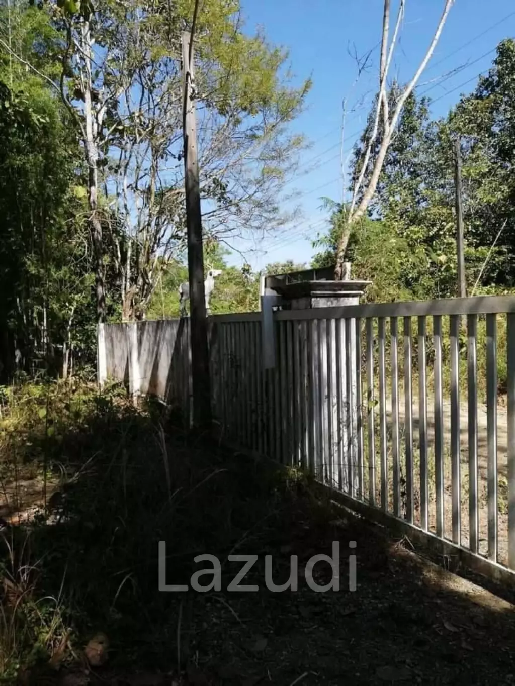 20 Rai Land with Teak Wood and Trees For Sale in Mae Taeng