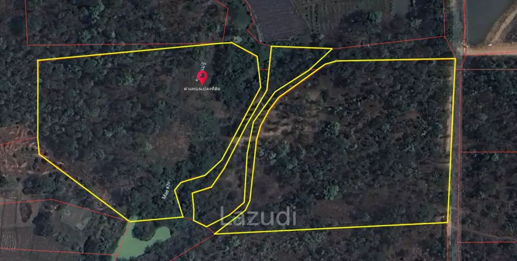 20 Rai Land with Teak Wood and Trees For Sale in Mae Taeng