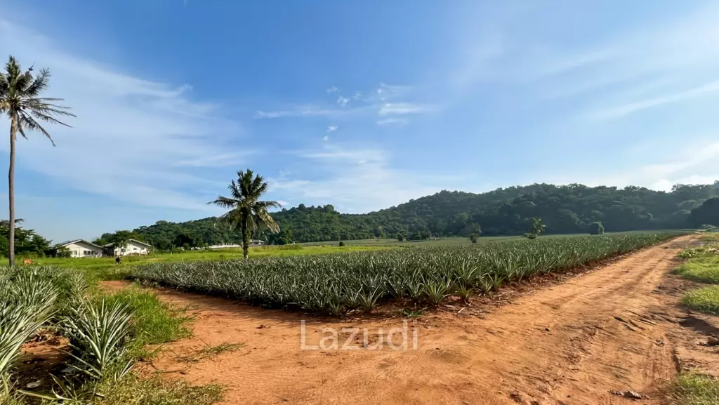 Prime Development Land - 10 Rai in Khao Tao - Pak Nam Pran