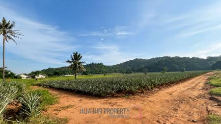 Prime Development Land - 10 Rai in Khao Tao - Pak Nam Pran