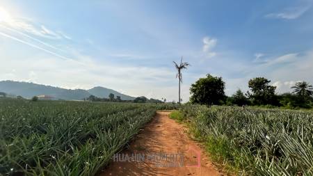 Prime Development Land - 10 Rai in Khao Tao - Pak Nam Pran
