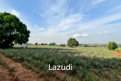 Prime Development Land - 10 Rai in Khao Tao - Pak Nam Pran