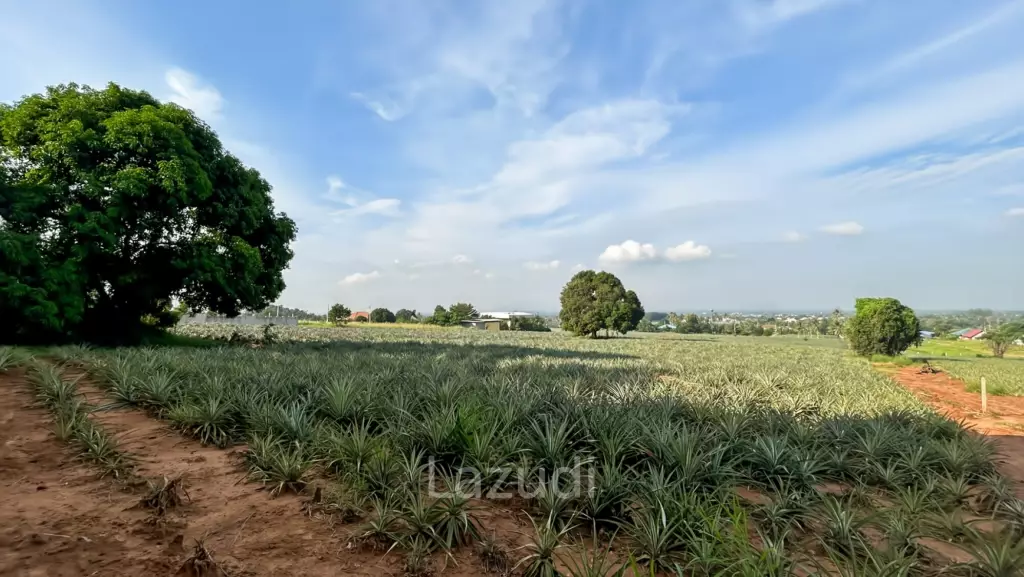 Prime Development Land - 10 Rai in Khao Tao - Pak Nam Pran