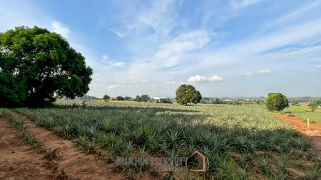 Prime Development Land - 10 Rai in Khao Tao - Pak Nam Pran
