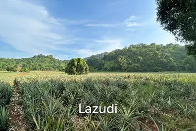 Prime Development Land - 10 Rai in Khao Tao - Pak Nam Pran